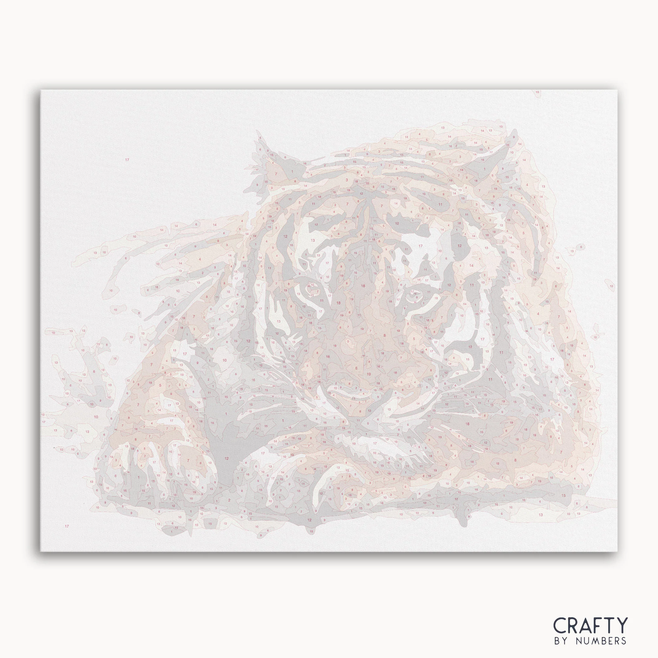 Amur Tiger - Image 2