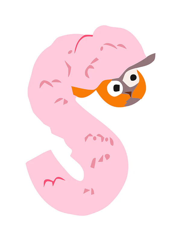 Animal Zoo (Alphabet) - Image 44