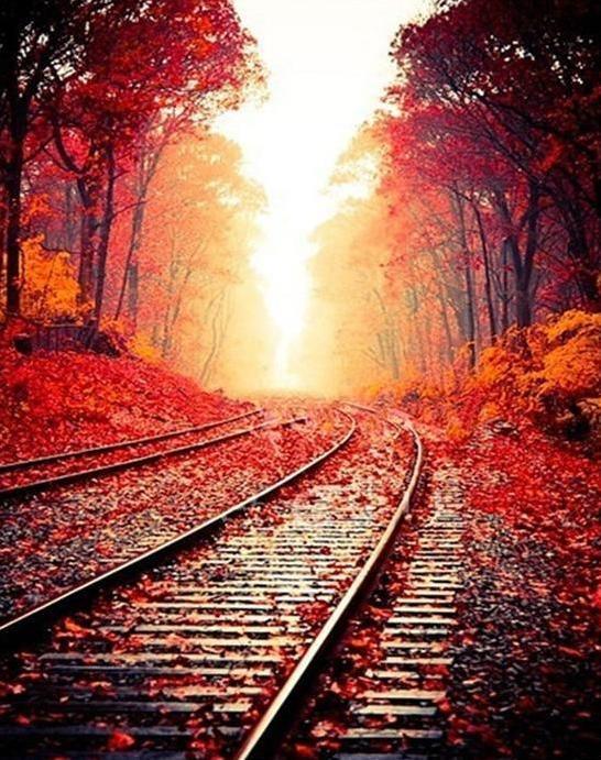 Autumn Railway - Image 3