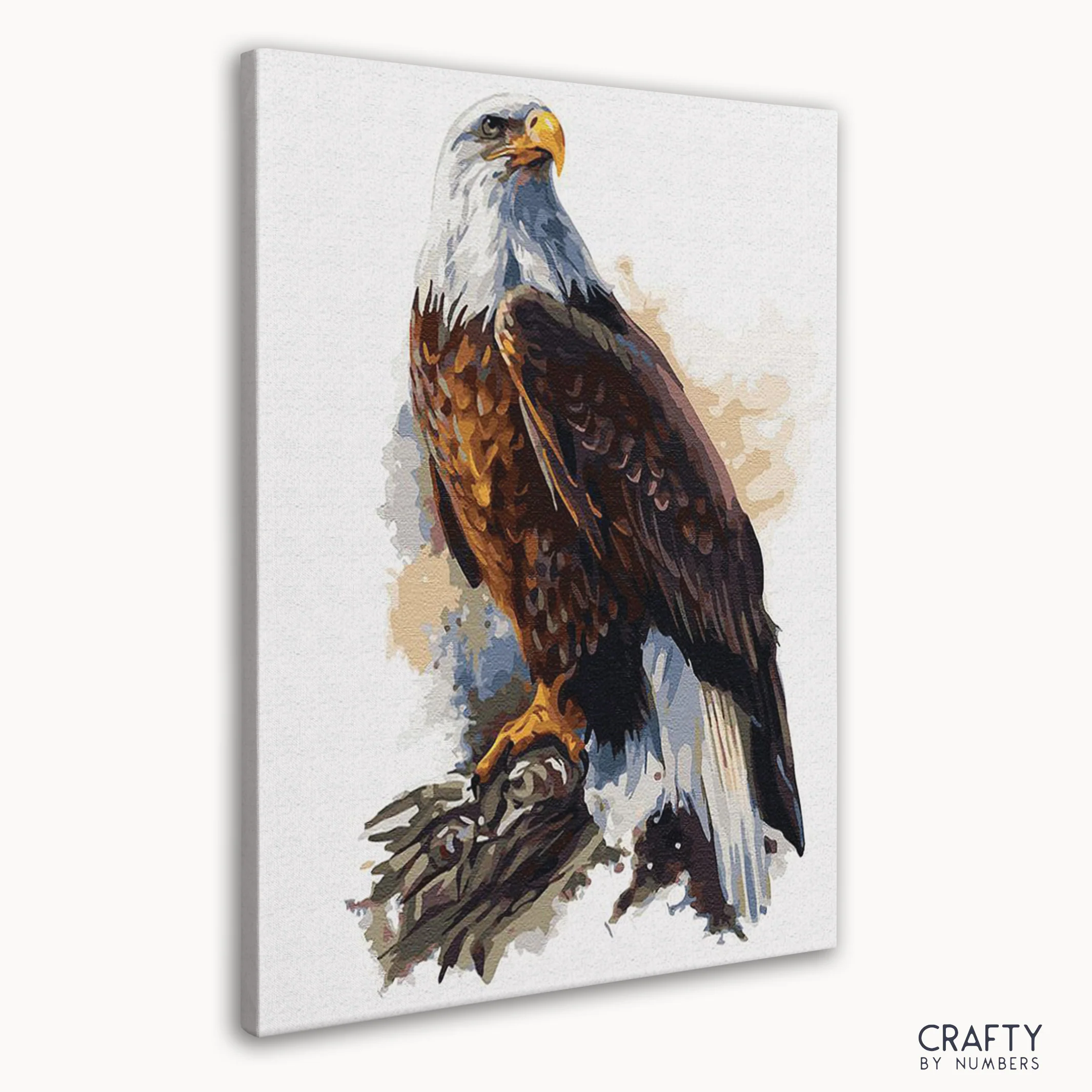 Bald Eagle - Image 3