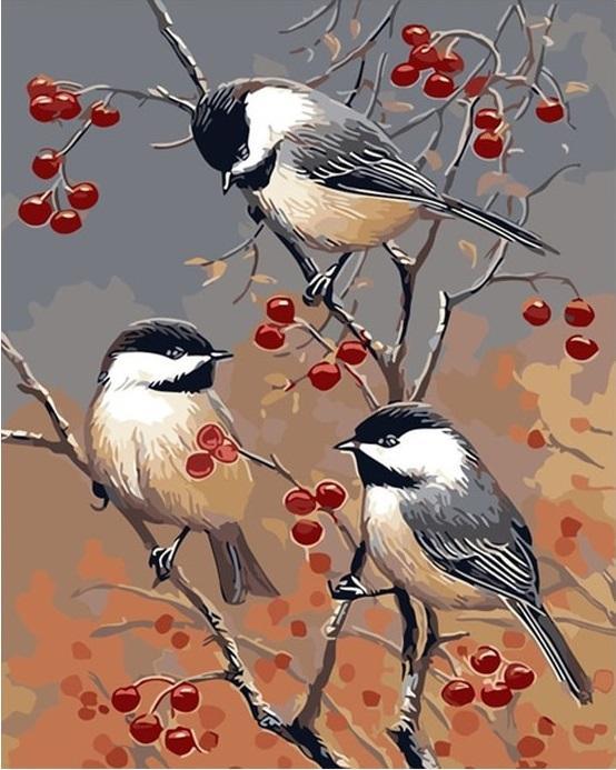 Birds & Red Fruits - Image 4