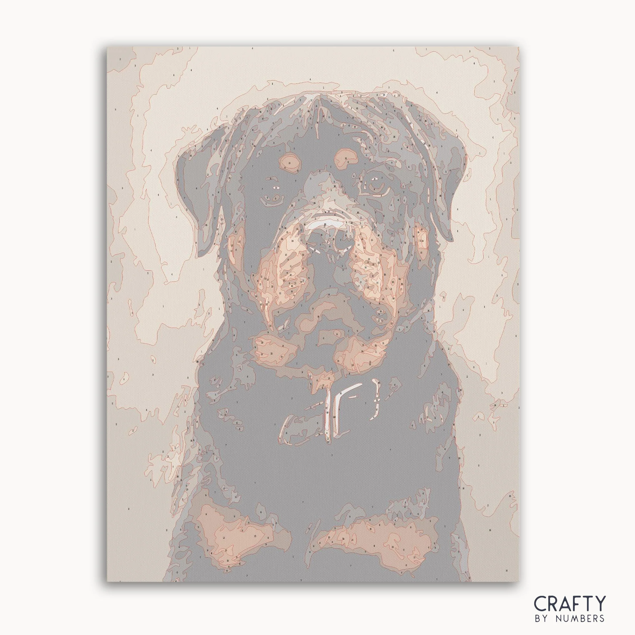 Rottweiler Dog - Image 2