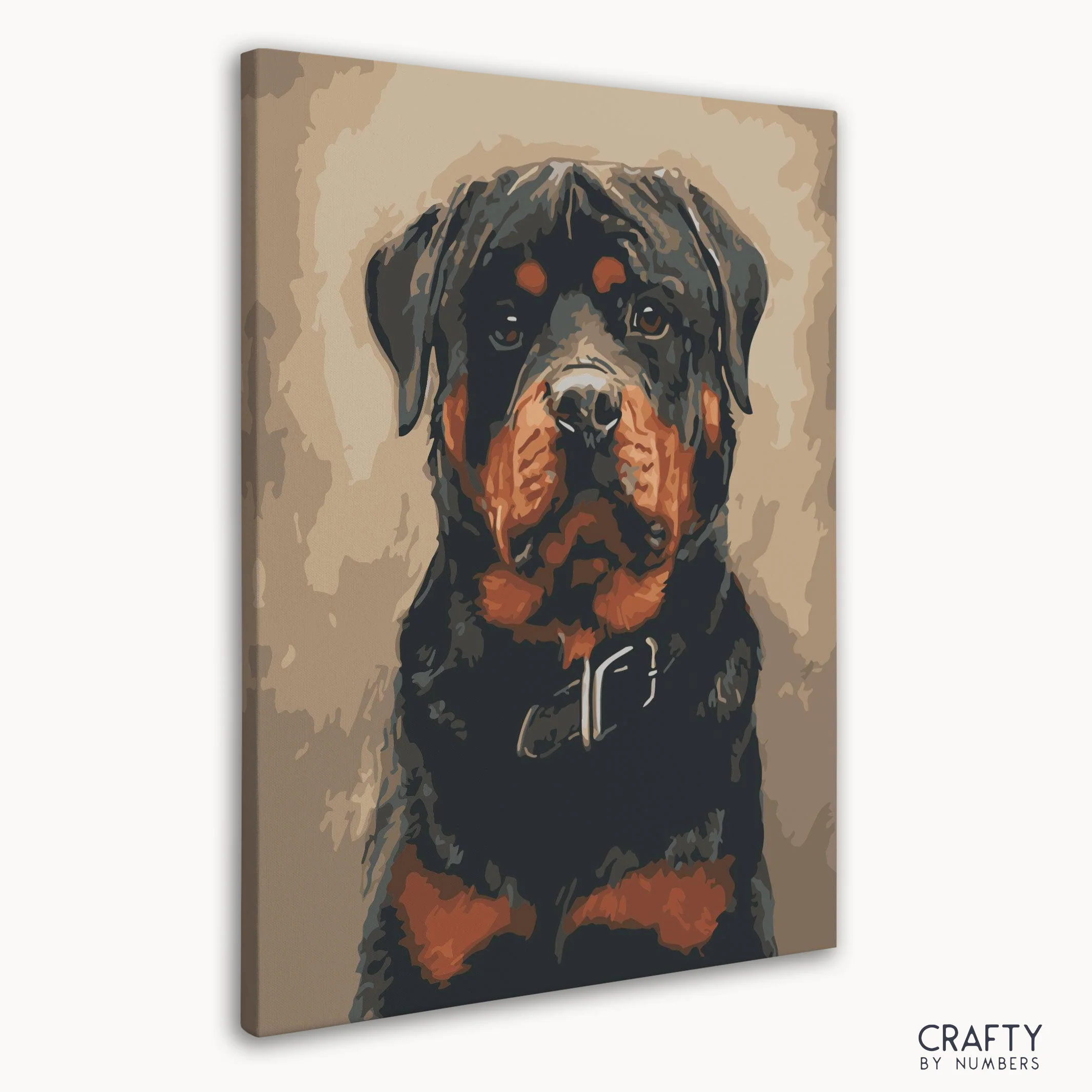 Rottweiler Dog - Image 3