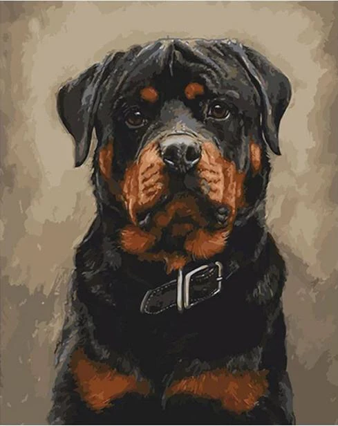 Rottweiler Dog - Image 4
