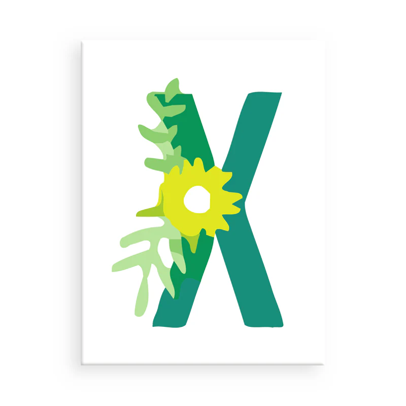 Bloom Letters (Alphabet) - Image 45