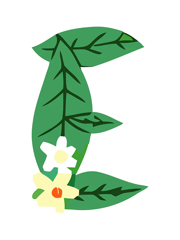 Botanic Letters (Alphabet) - Image 27