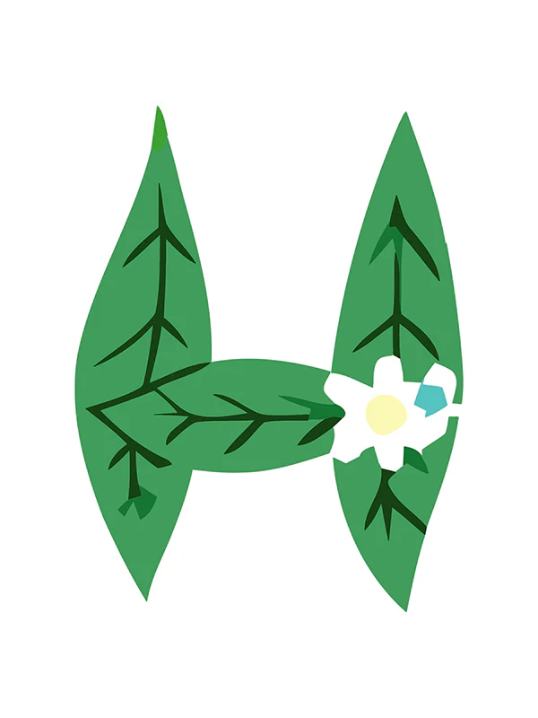 Botanic Letters (Alphabet) - Image 30
