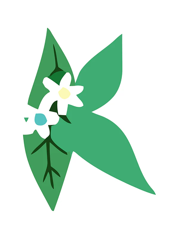 Botanic Letters (Alphabet) - Image 33