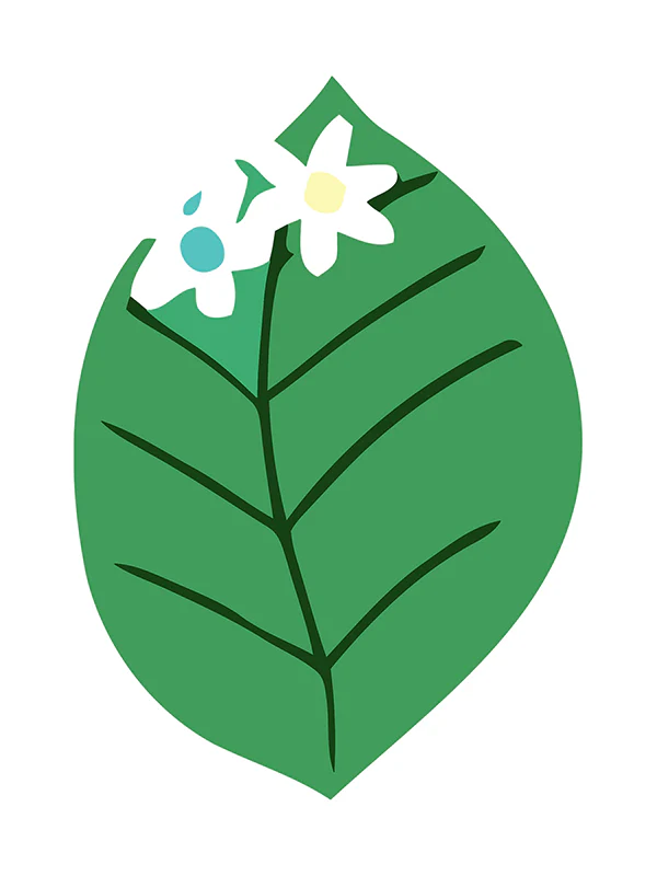 Botanic Letters (Alphabet) - Image 37
