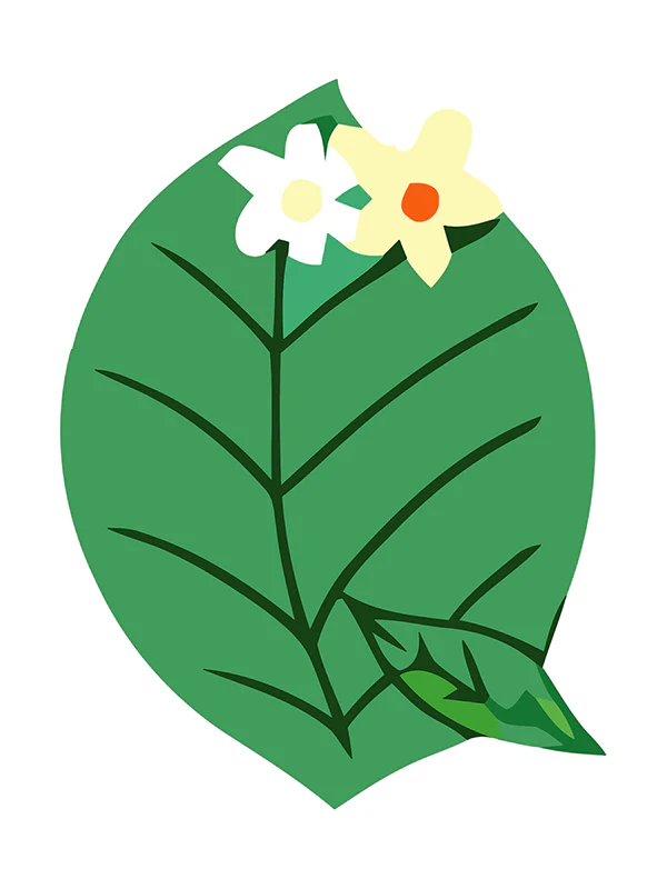 Botanic Letters (Alphabet) - Image 39