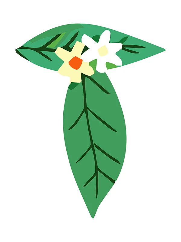 Botanic Letters (Alphabet) - Image 42