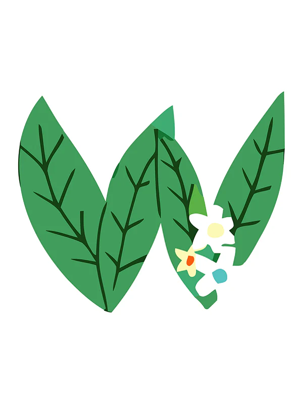 Botanic Letters (Alphabet) - Image 45