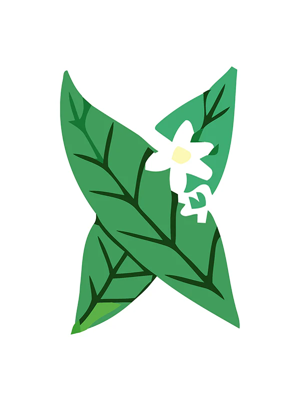 Botanic Letters (Alphabet) - Image 46