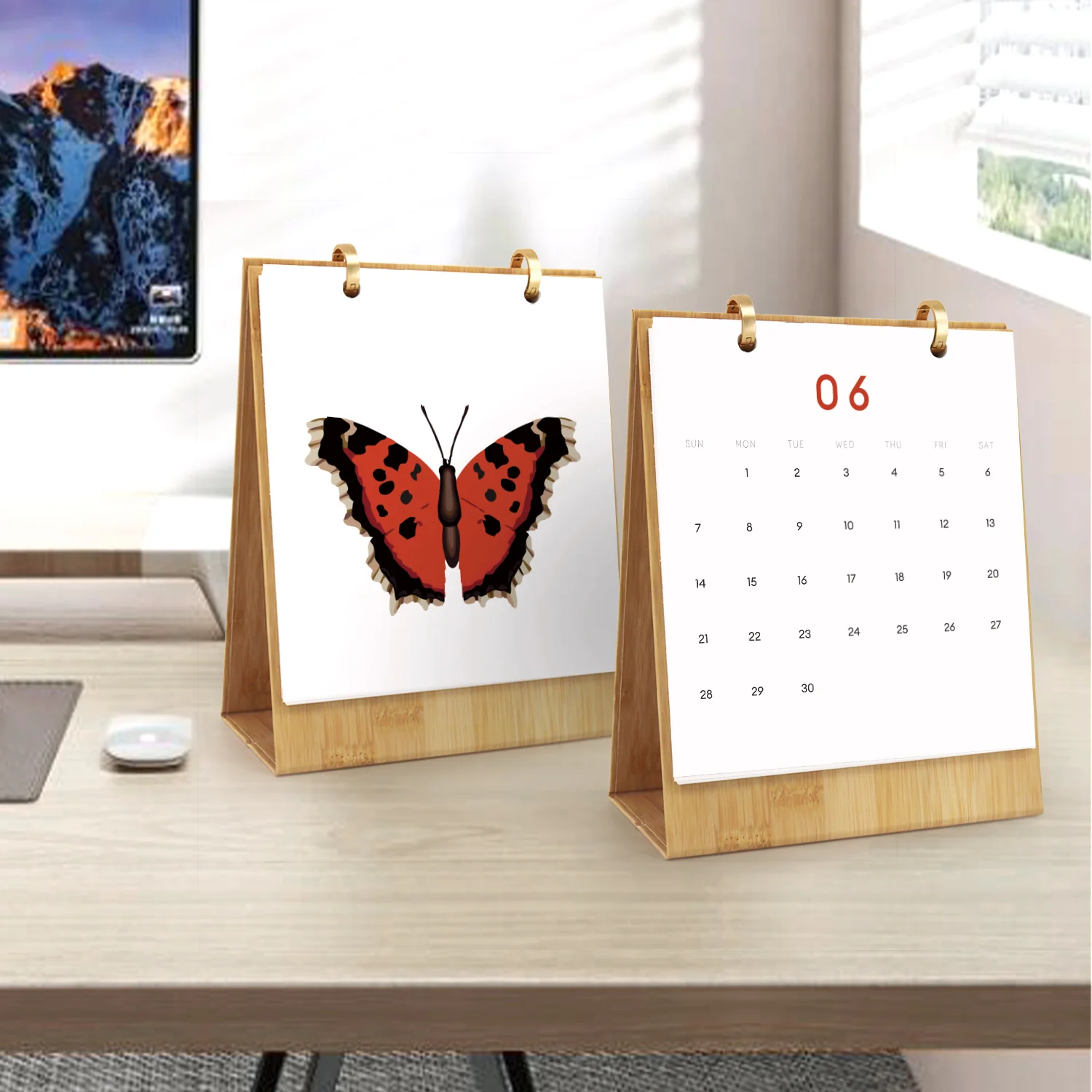 Butterfly Days - Image 17