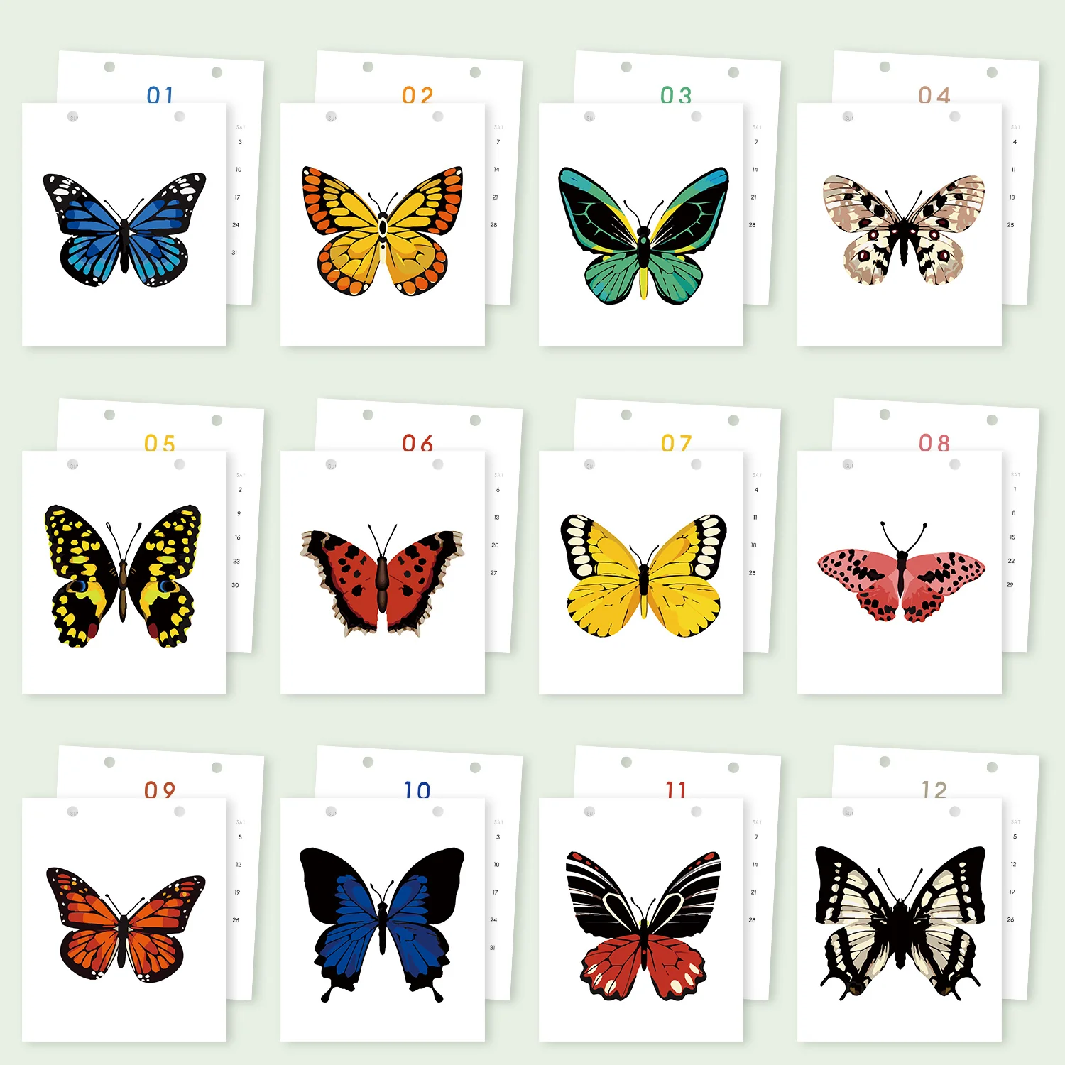 Butterfly Days - Image 21