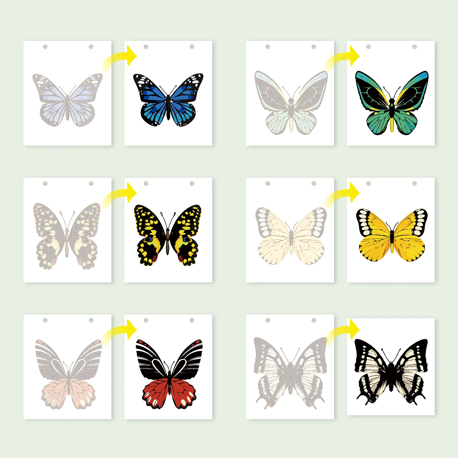 Butterfly Days - Image 22