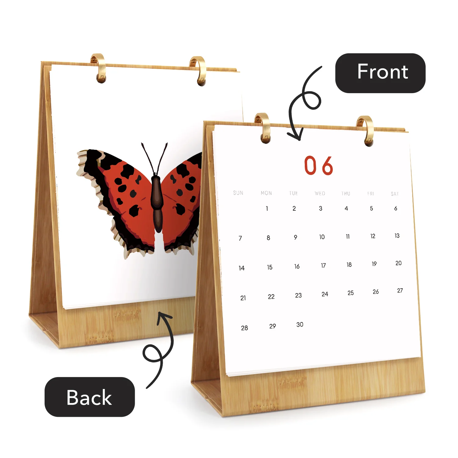 Butterfly Days - Image 8