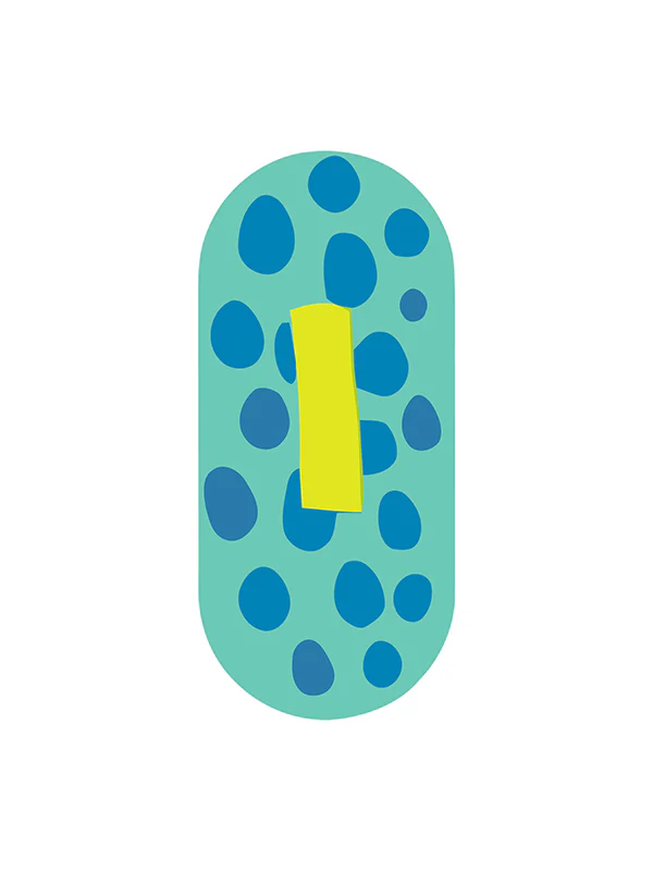 Color Pop (Alphabet) - Image 31