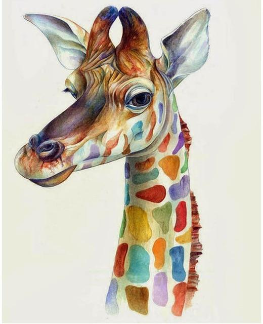 Colorful Giraffe - Image 4