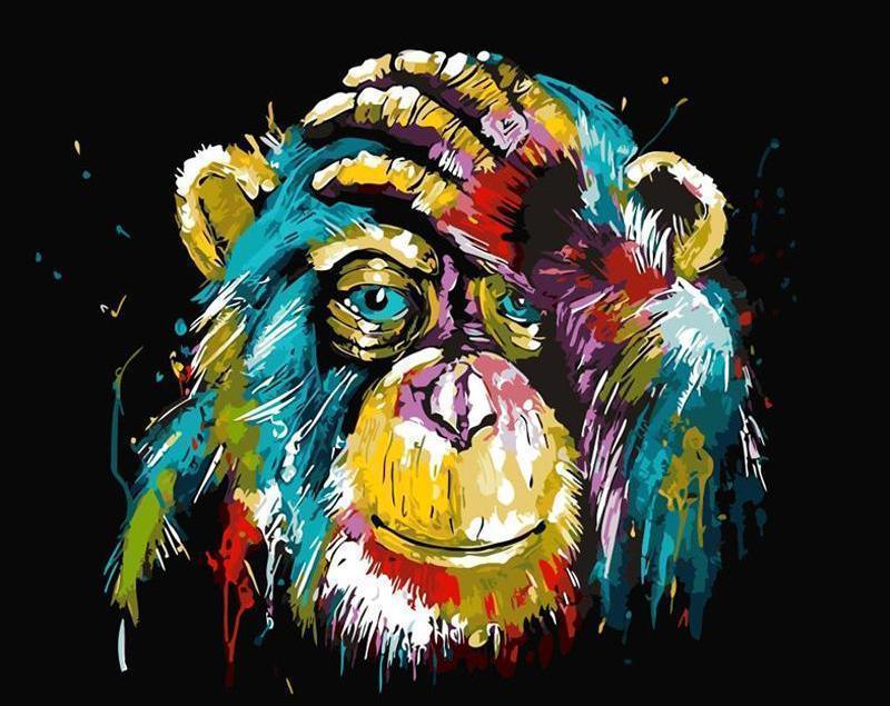 Colorful Monkey - Image 4