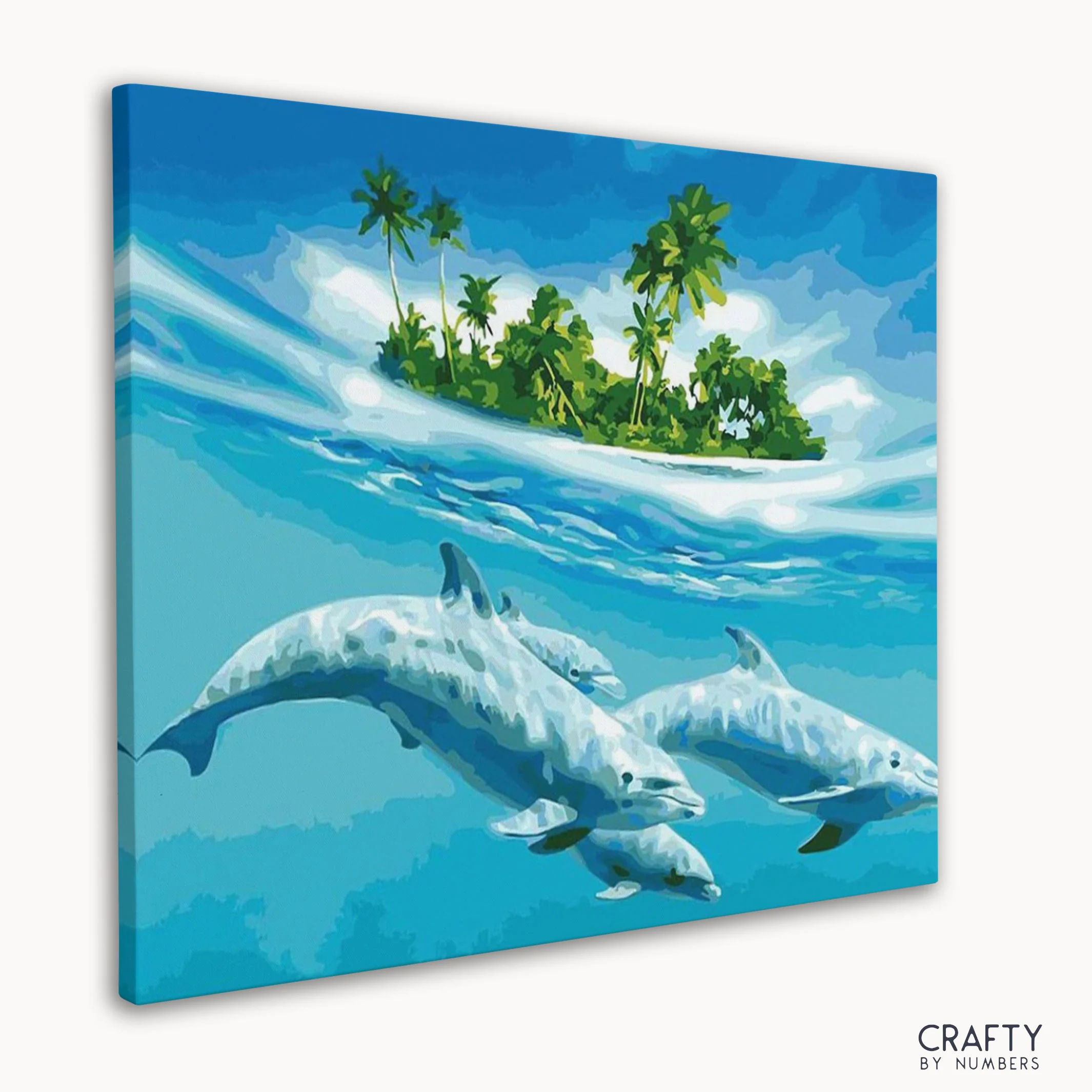 Dolphins Paradise - Image 3