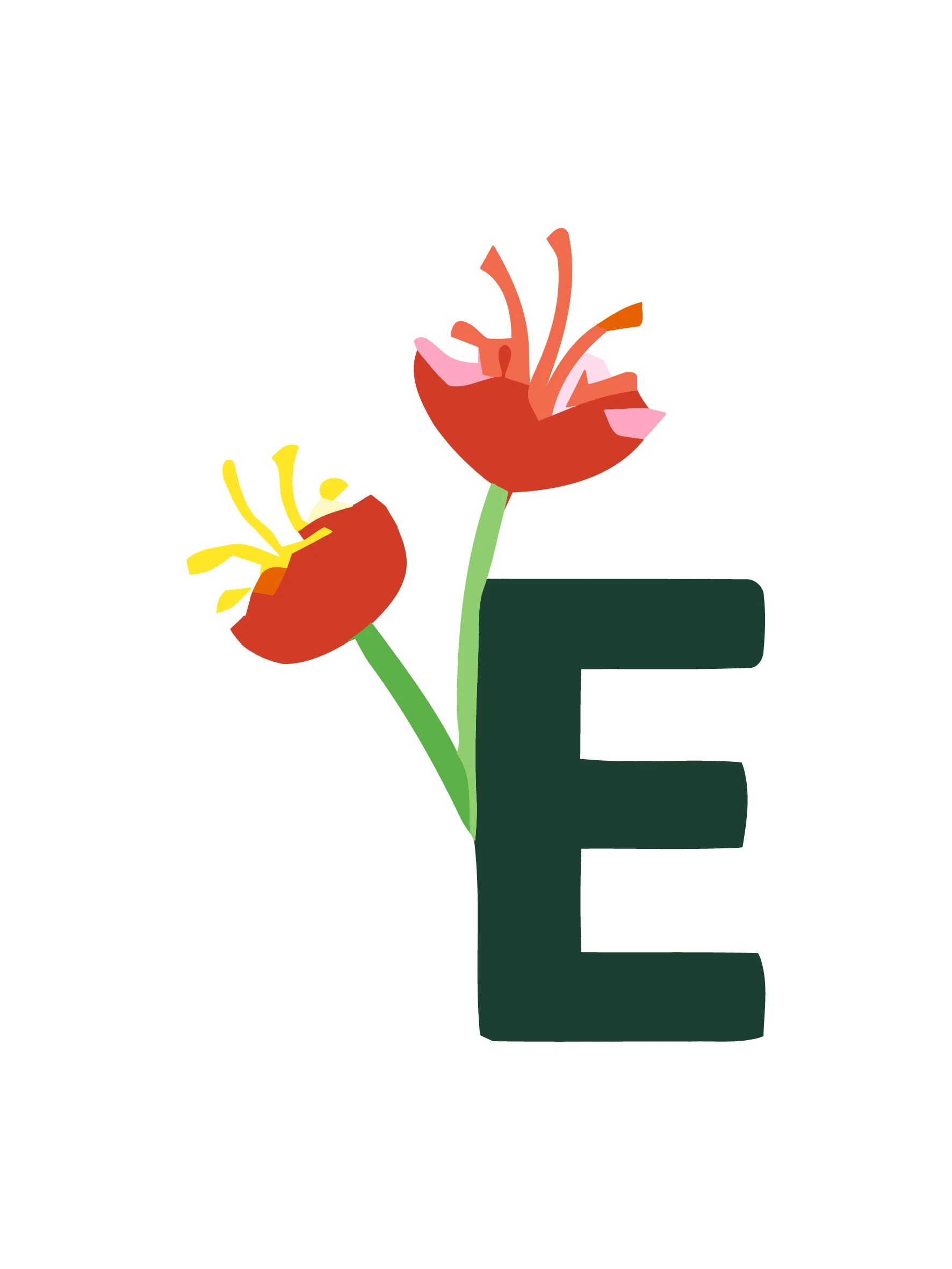 Floral Garden (Alphabet) - Image 28