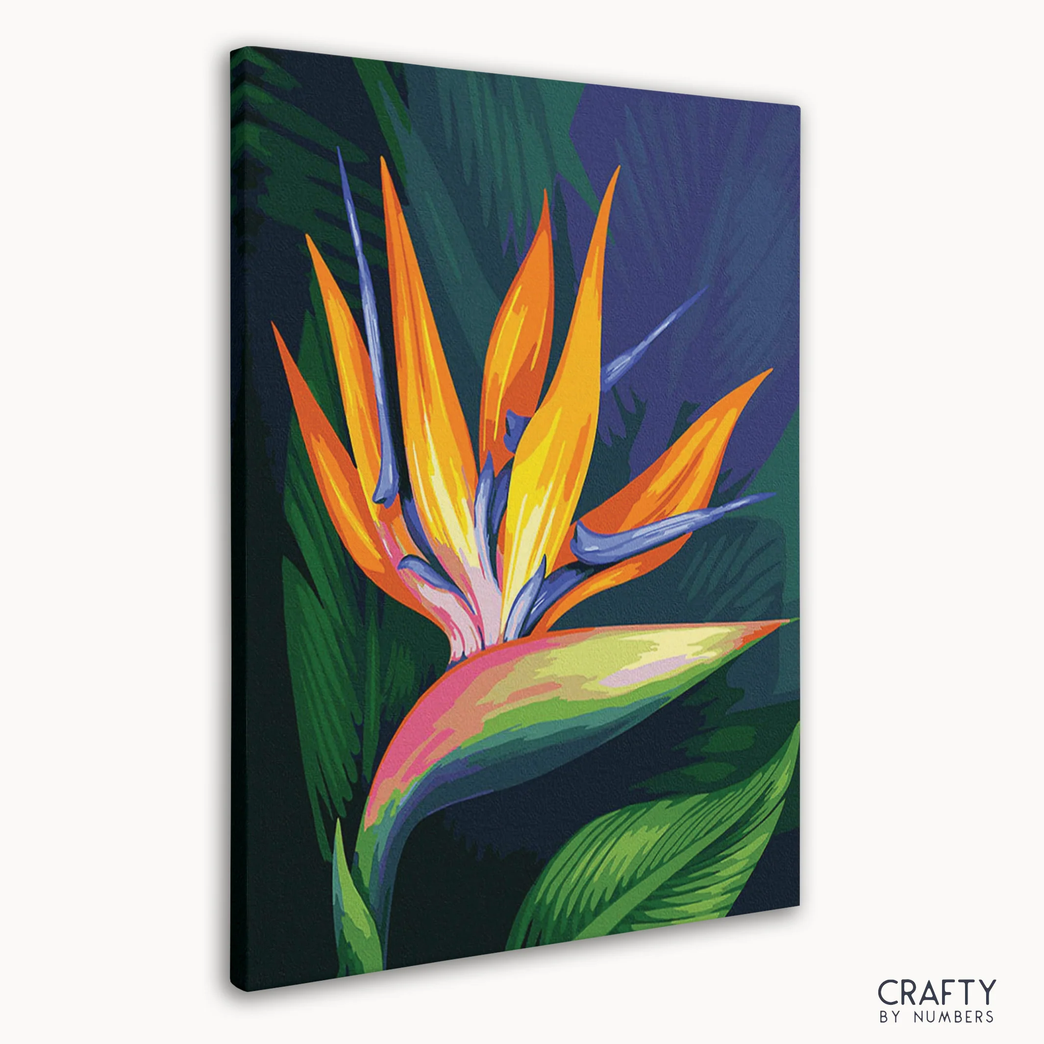 Flower Bird of Paradise - Image 3