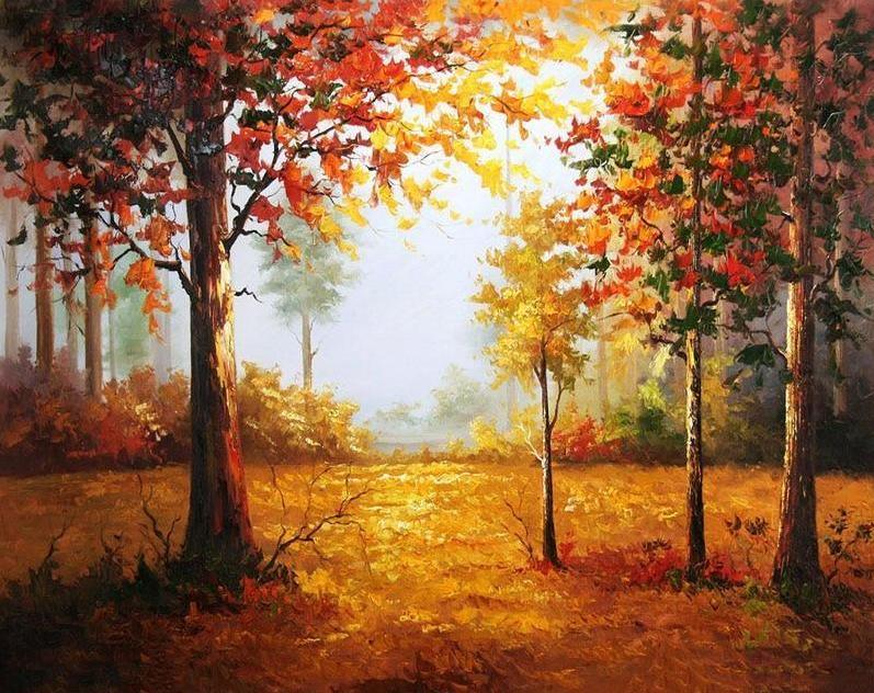Forest in Autumn - Image 4