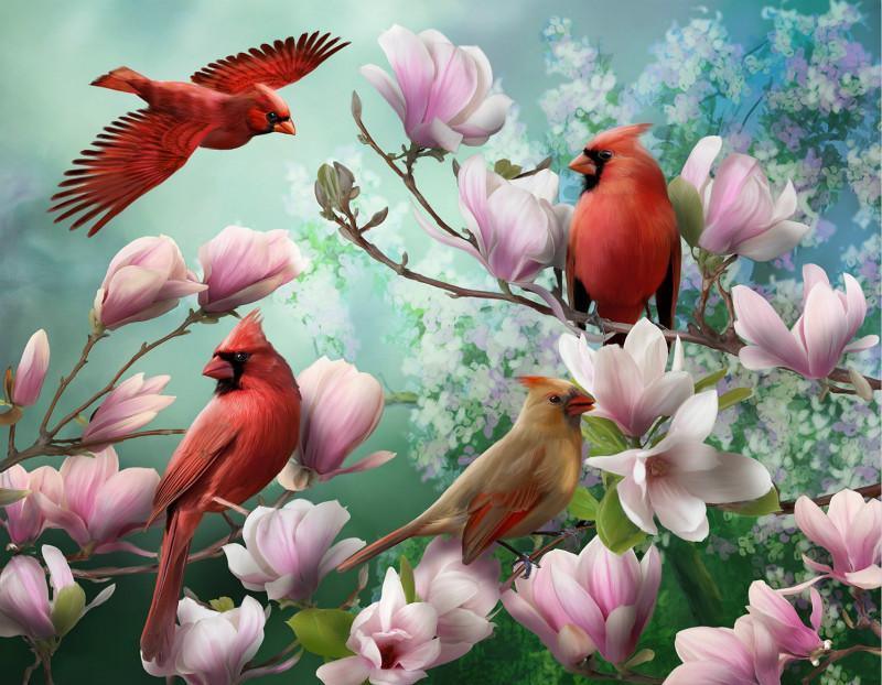 Four Beautiful Birds - Image 4
