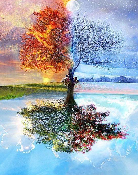 Four Seasons Tree - Image 4