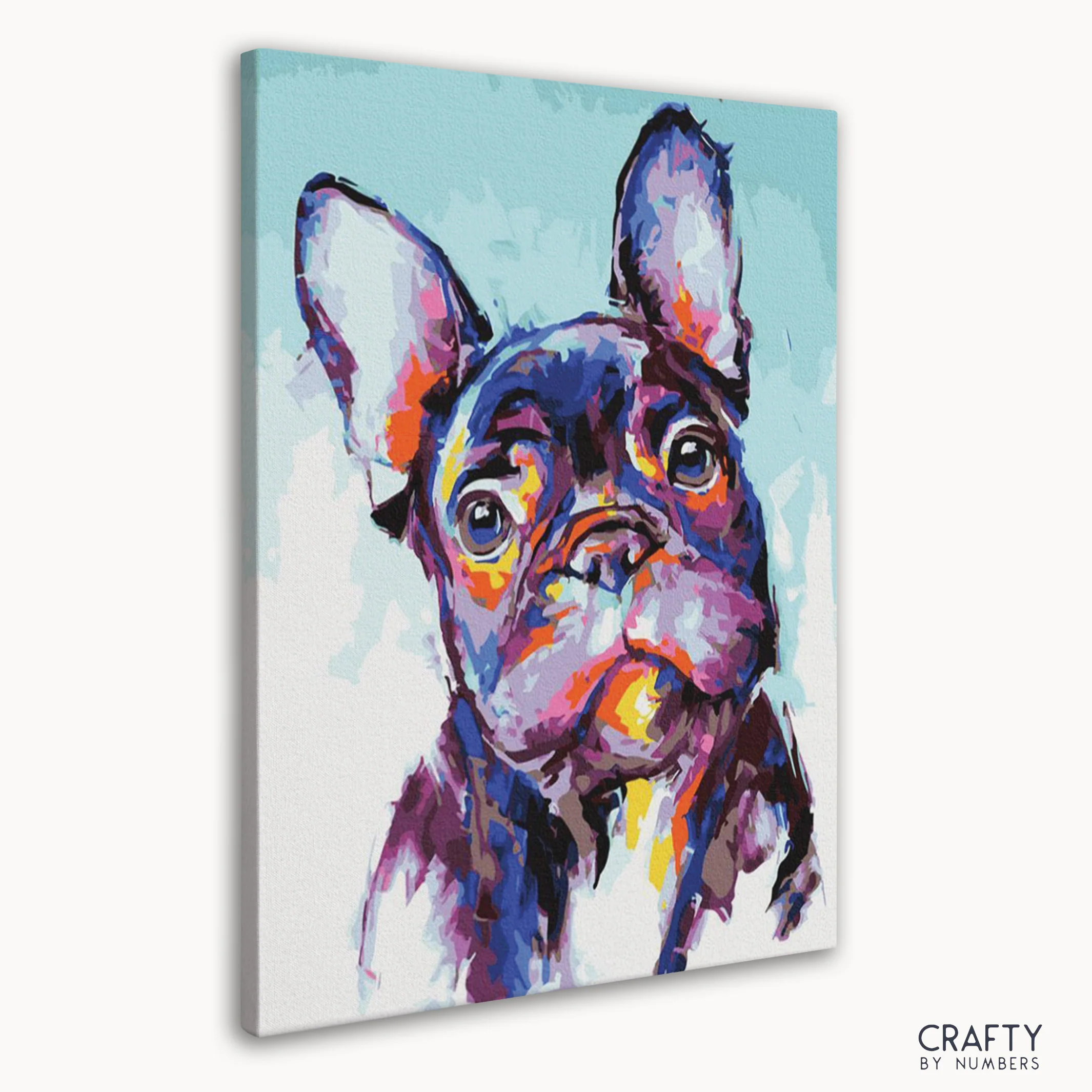 French Bulldog - Image 3