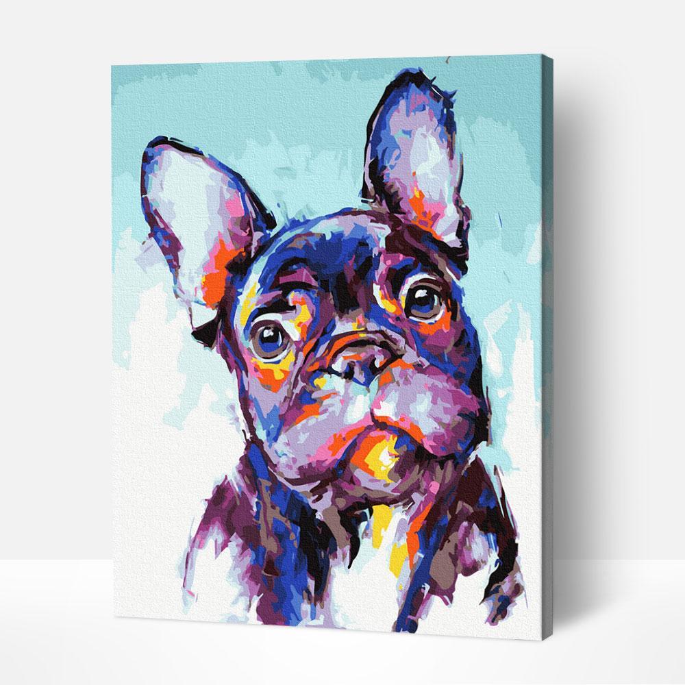 French Bulldog - Image 4