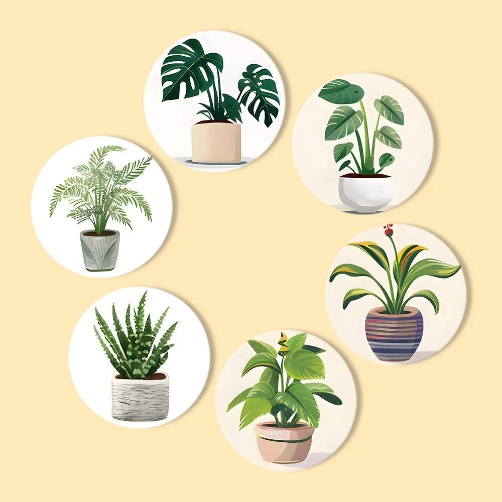 Green Haven (Set of 6) - Image 11