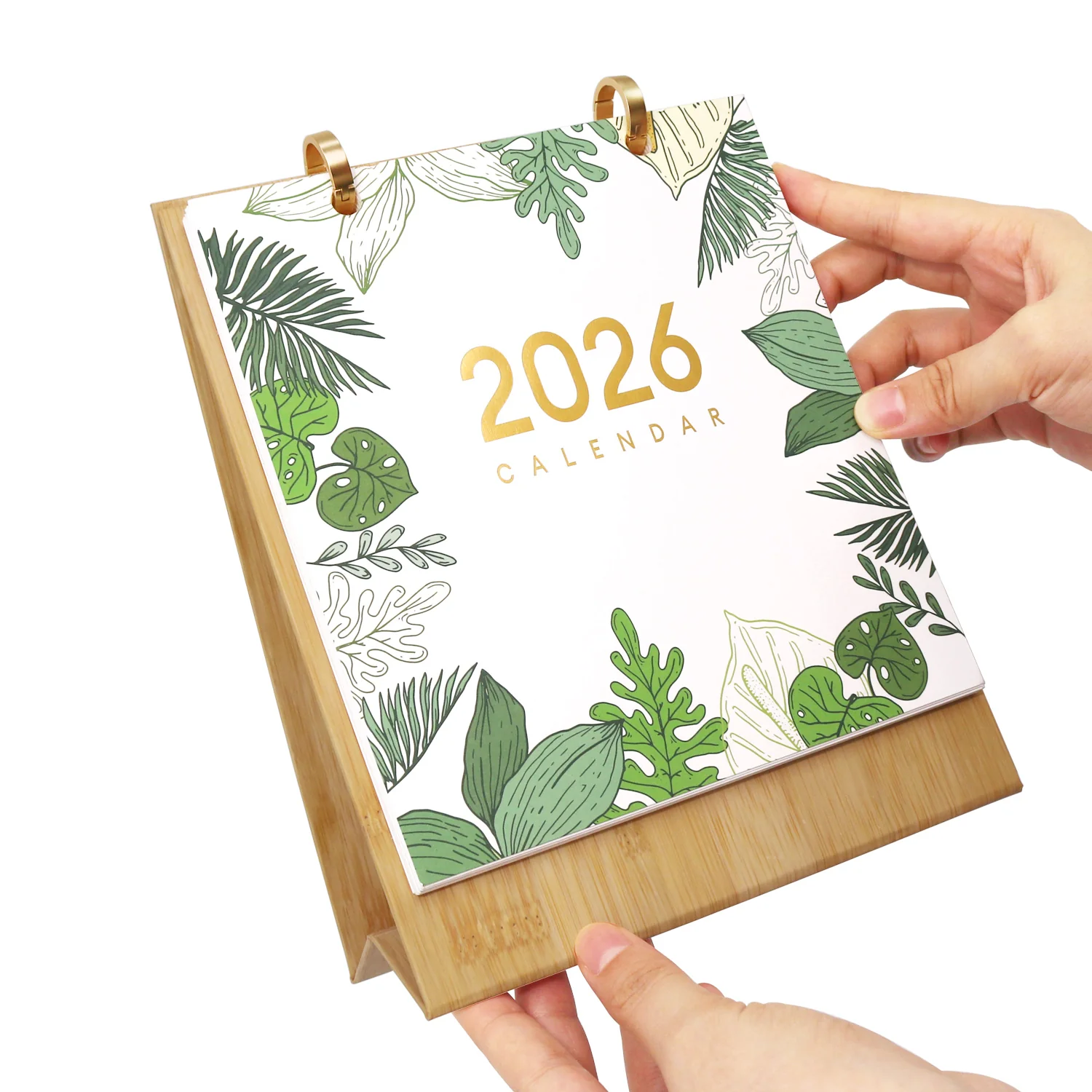 Houseplant Haven - Image 14