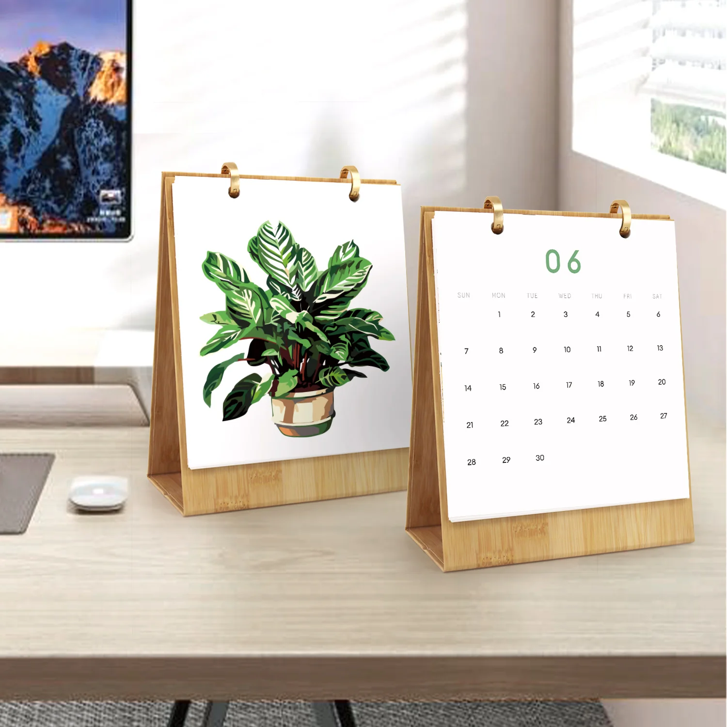 Houseplant Haven - Image 18