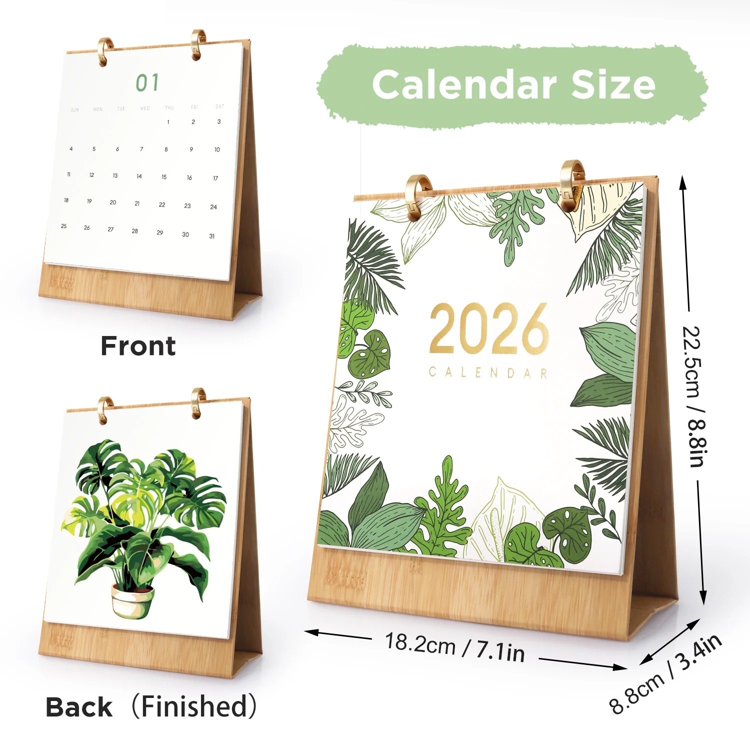Houseplant Haven - Image 7