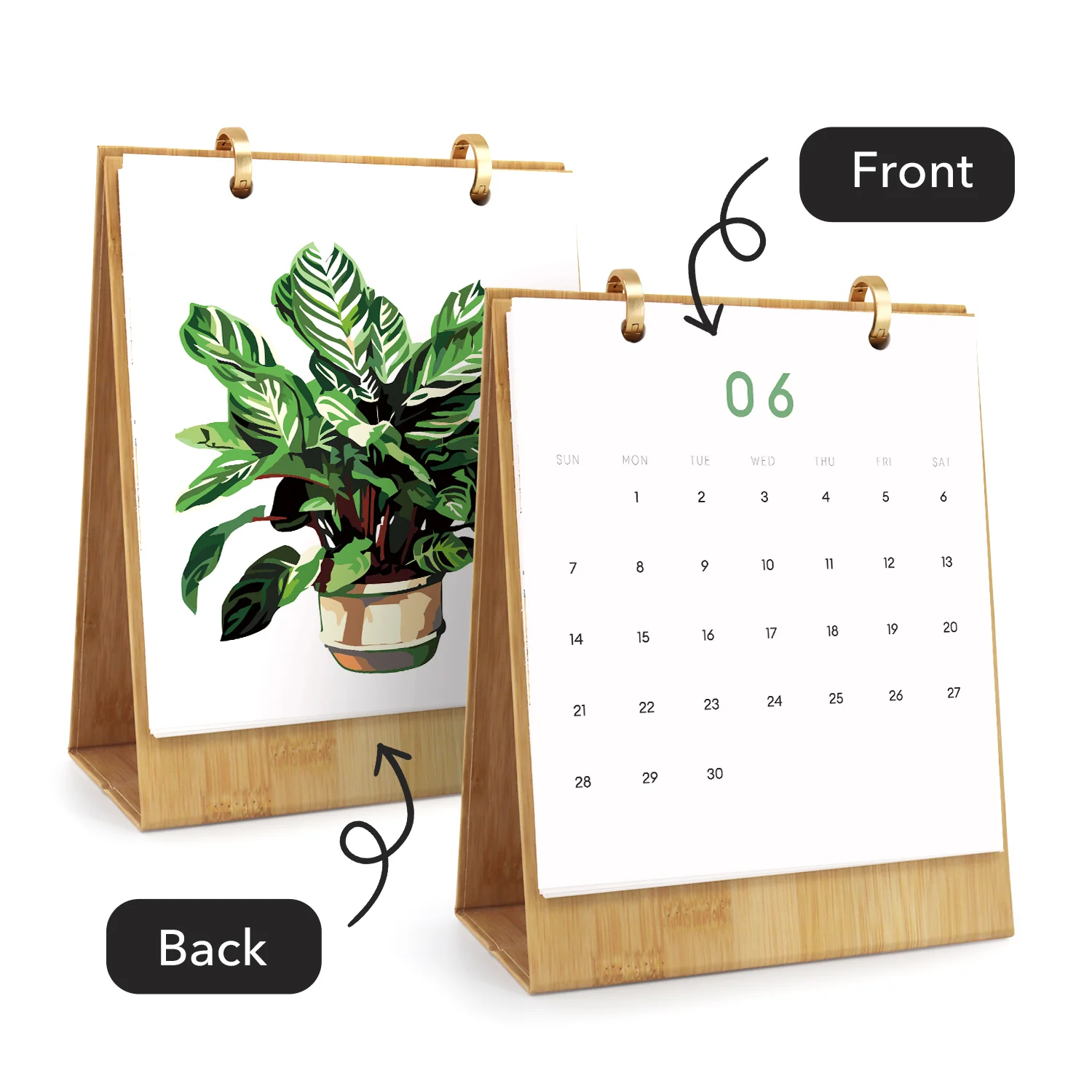 Houseplant Haven - Image 8