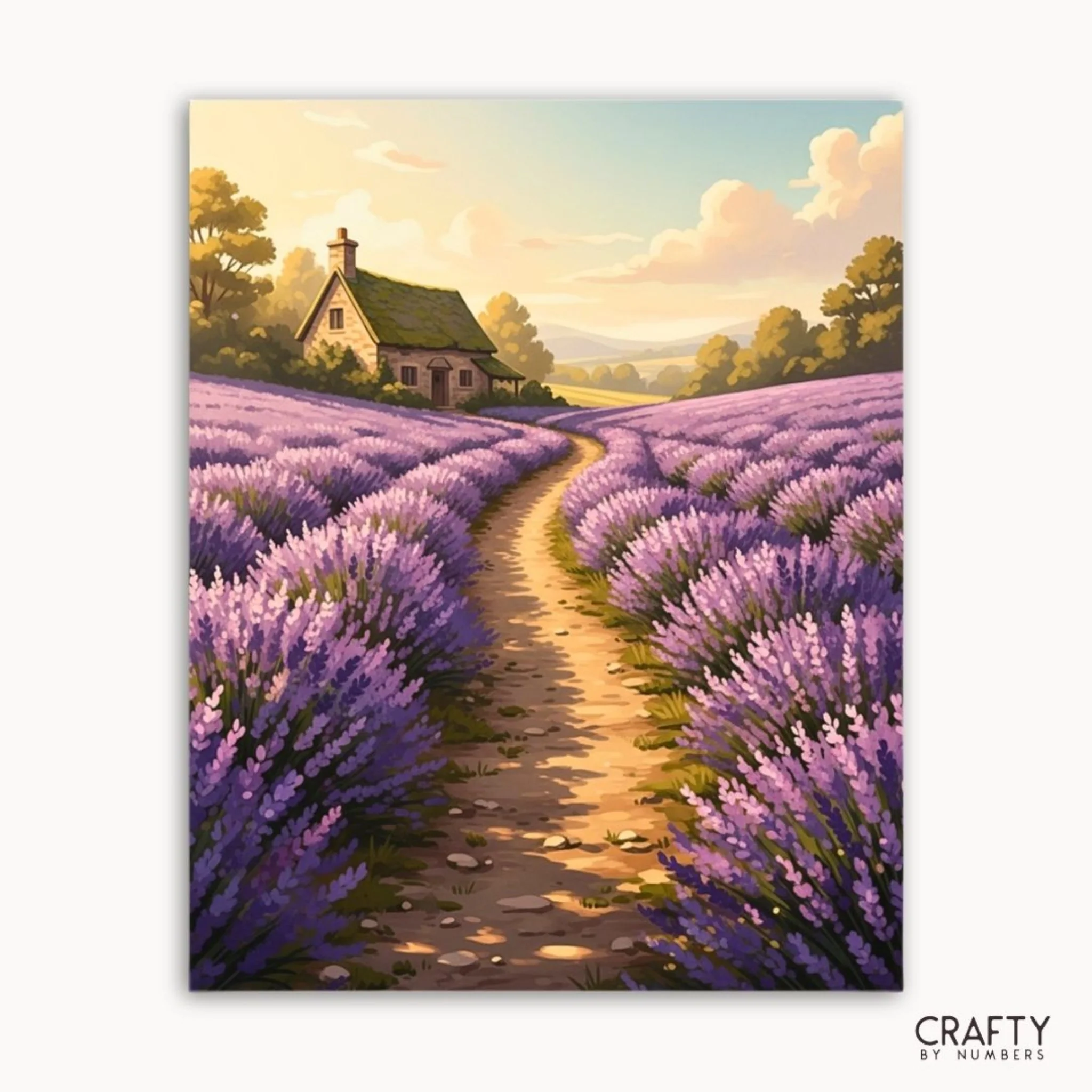 Beginner Paint by Numbers Kits