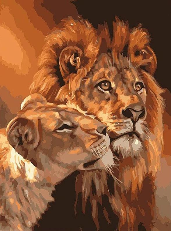 Lion & Lioness - Image 4