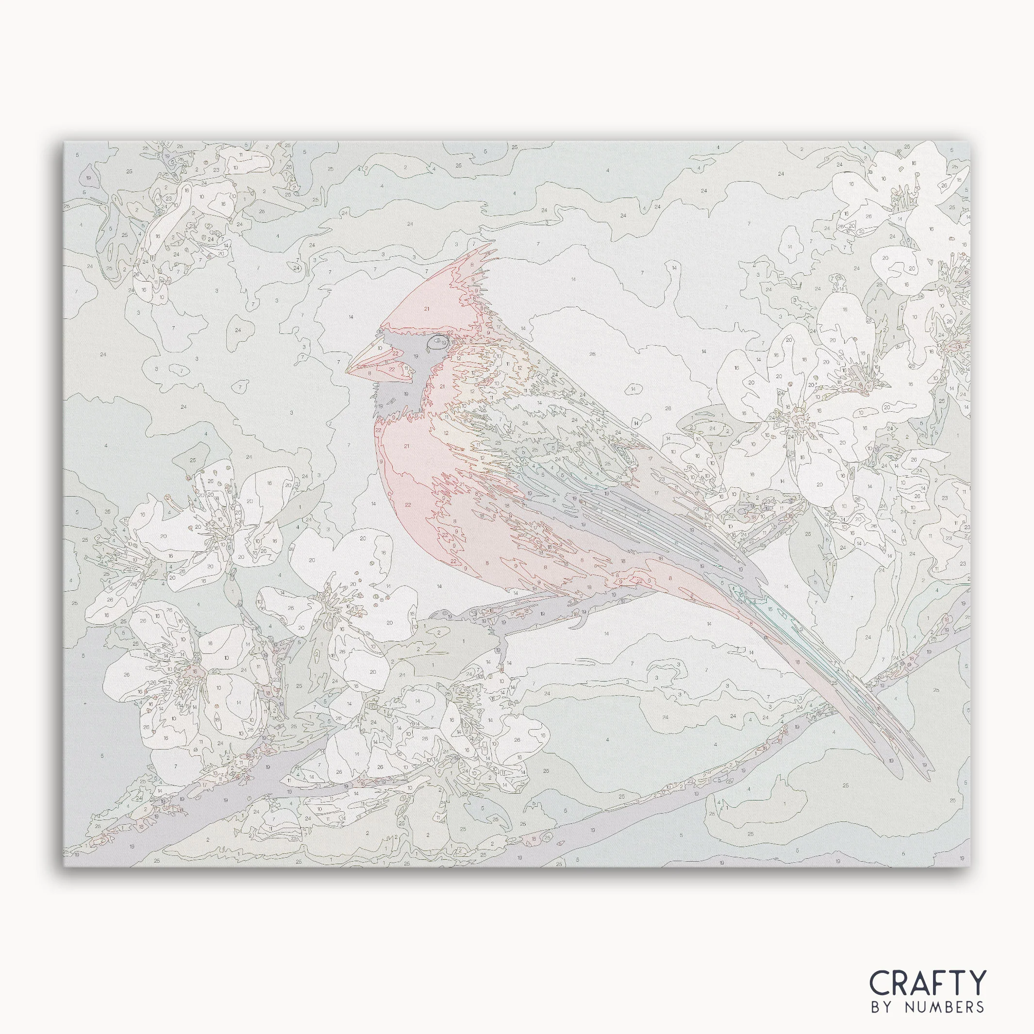 Northern Cardinal - Image 2
