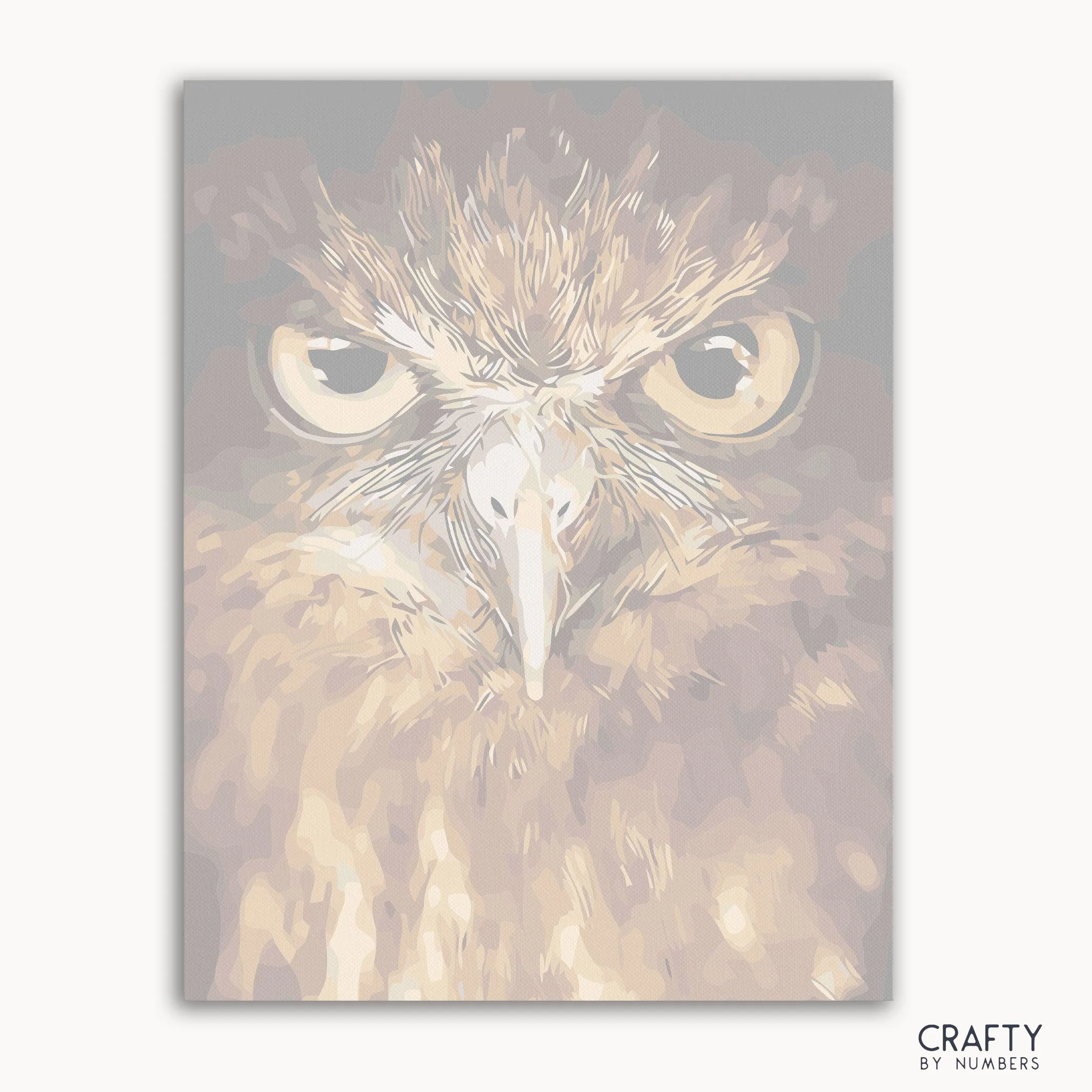 Owl Eyes - Image 2