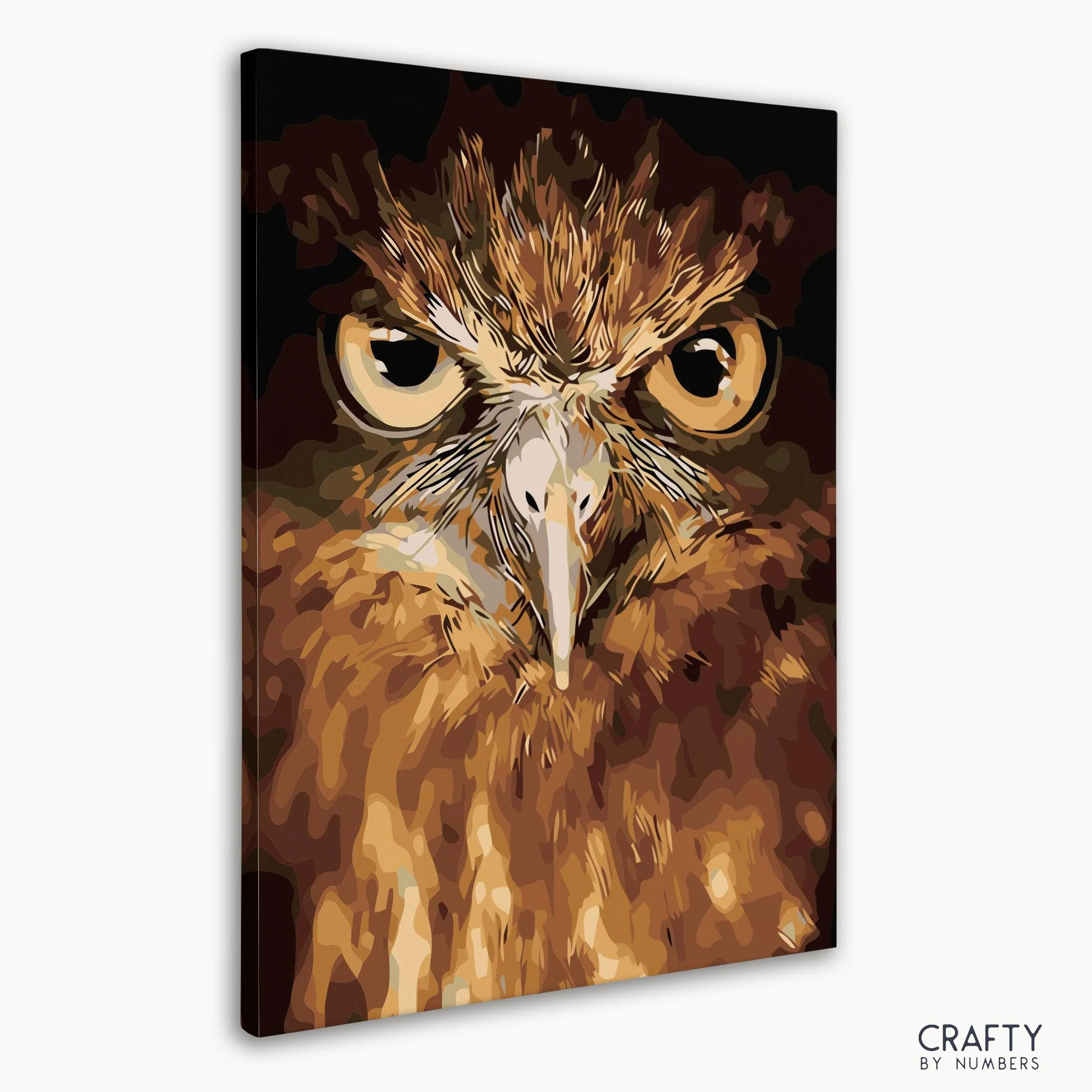 Owl Eyes - Image 3