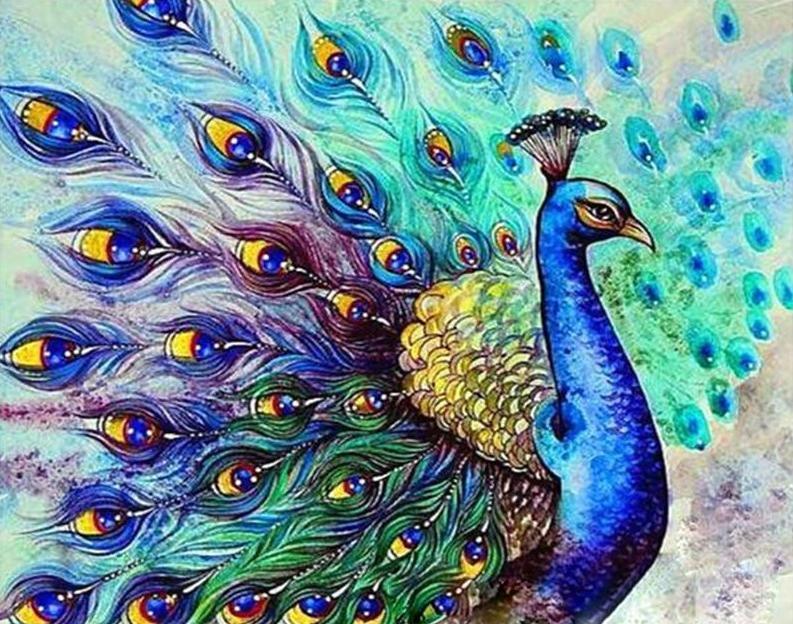 Pavo Real - Image 4