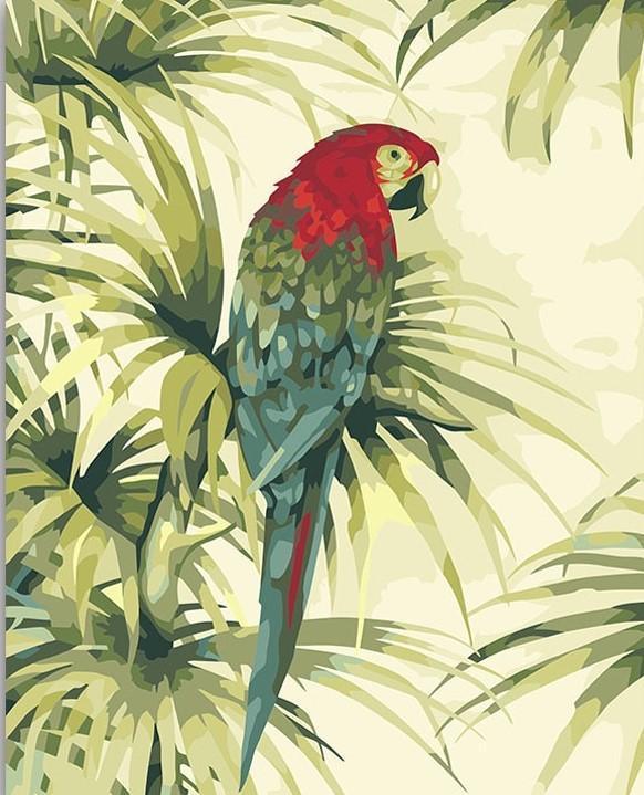 Peaceful Parrot - Image 4