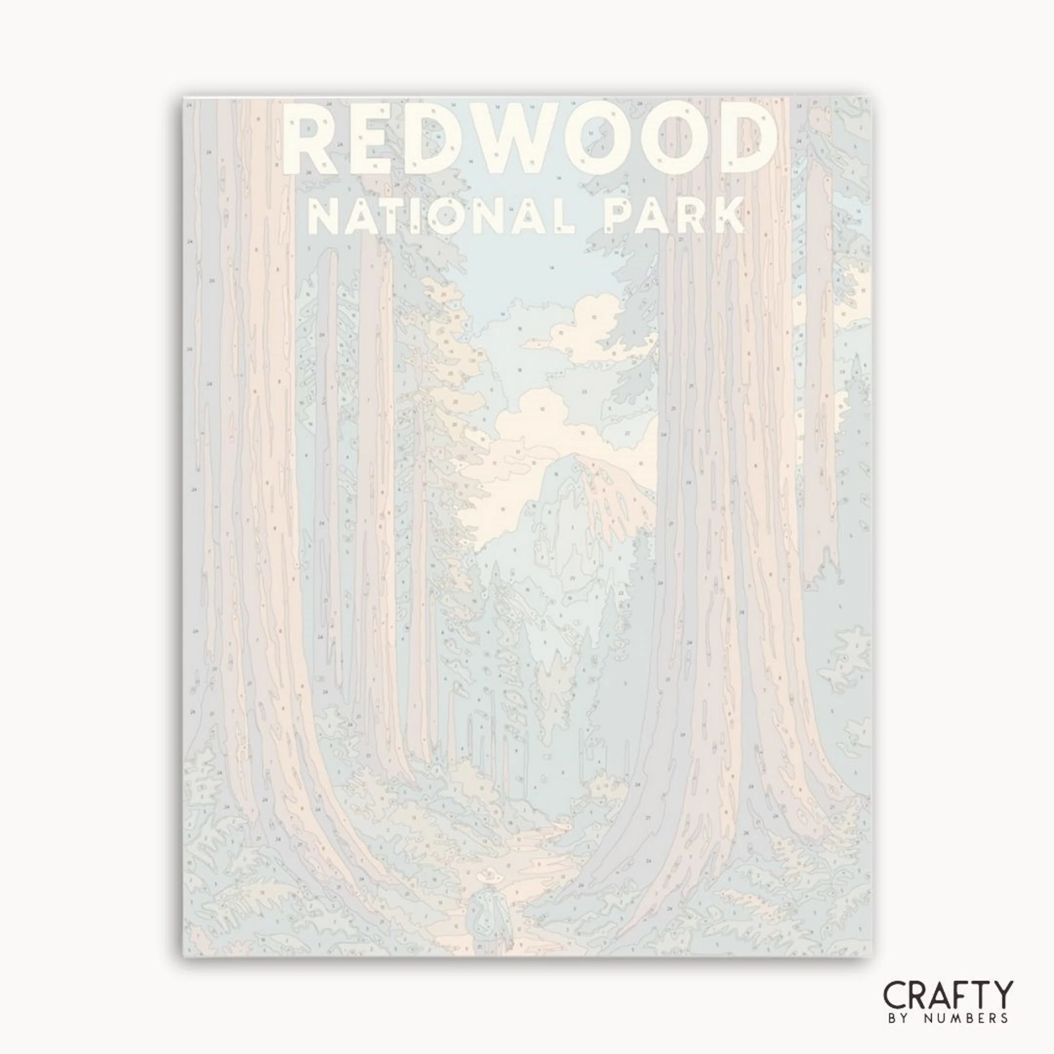 Redwood - National Park - Image 2