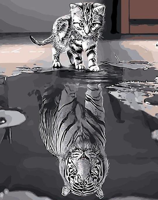 Cat & Tiger Reflection - Image 4