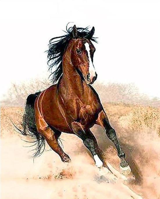 Running Horse - Image 4