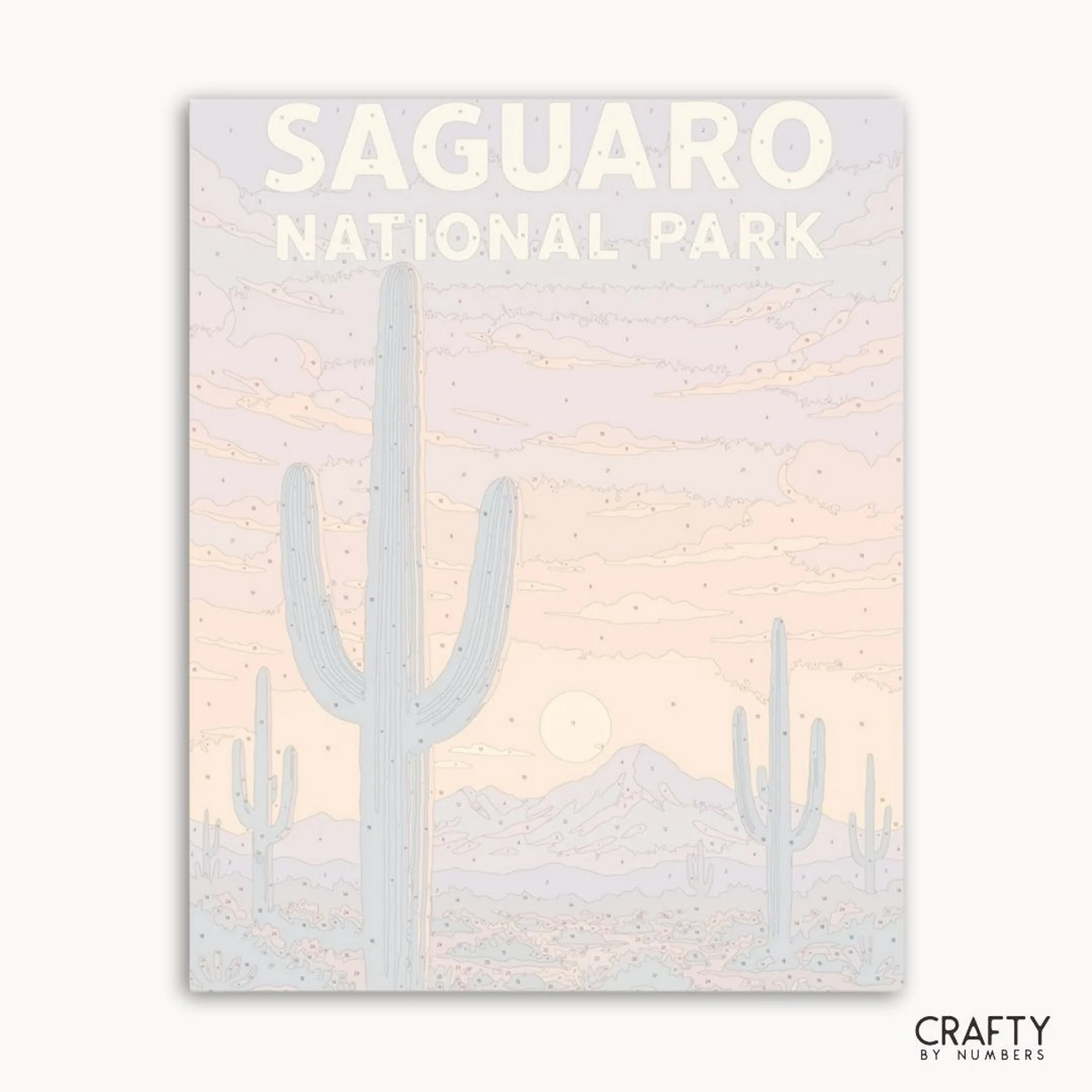 Saguaro - National Park - Image 2