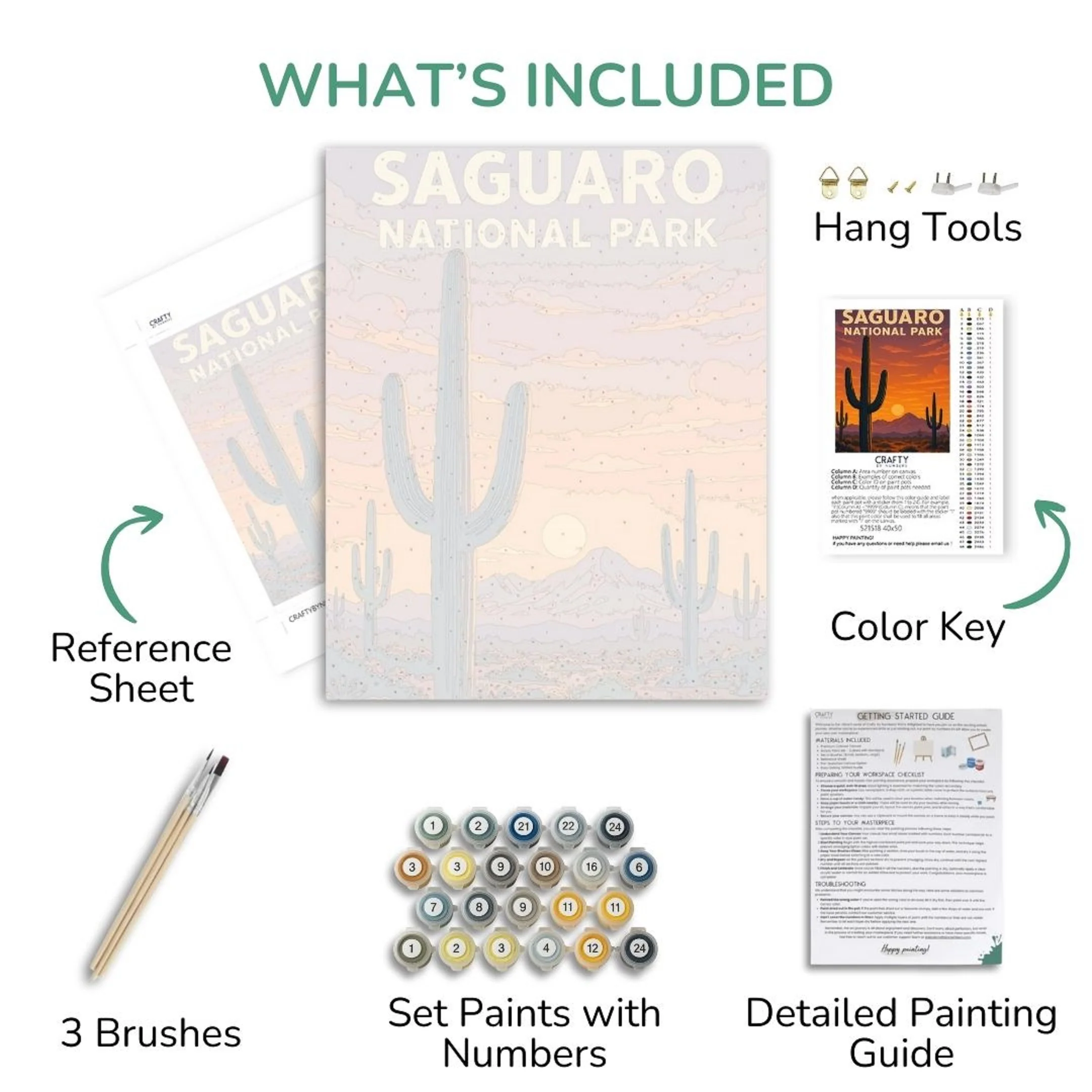 Saguaro - National Park - Image 3