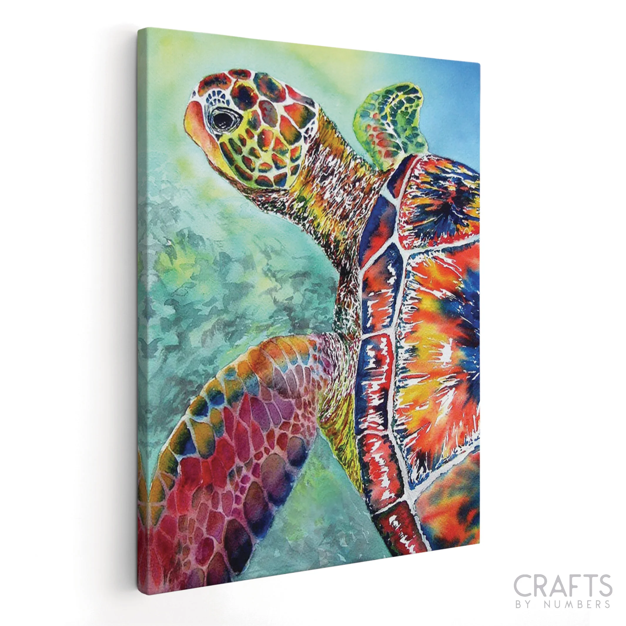 Sea Turtle - Image 16